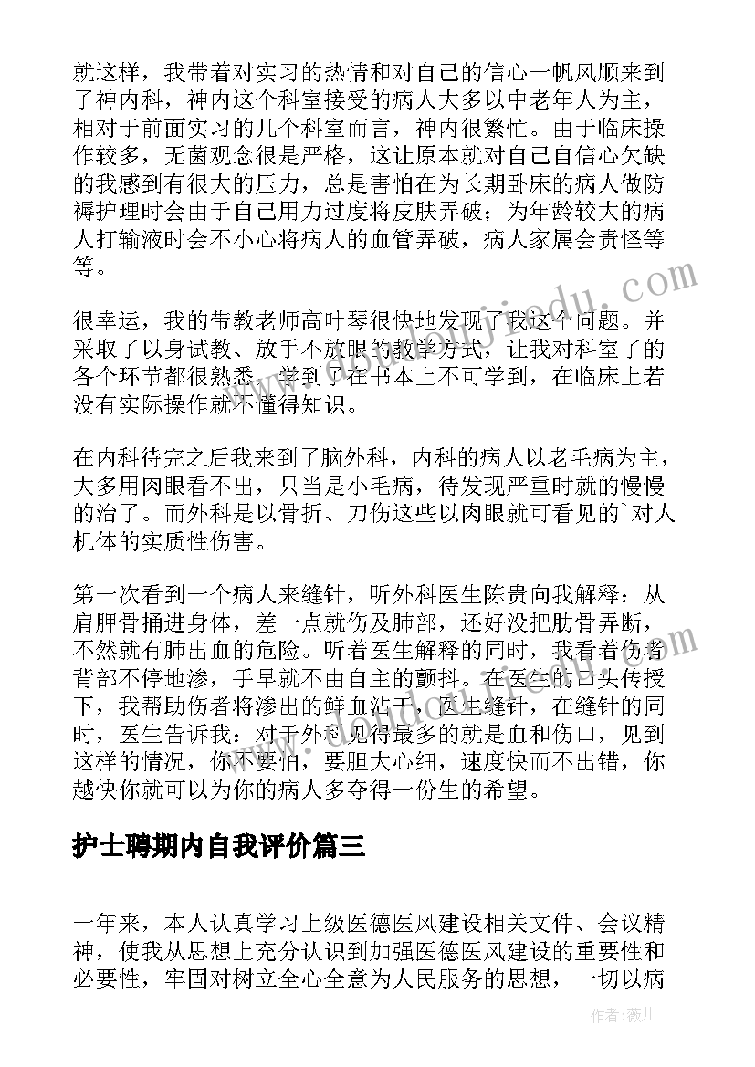 2023年护士聘期内自我评价 护士个人求职信自我评价(实用6篇)