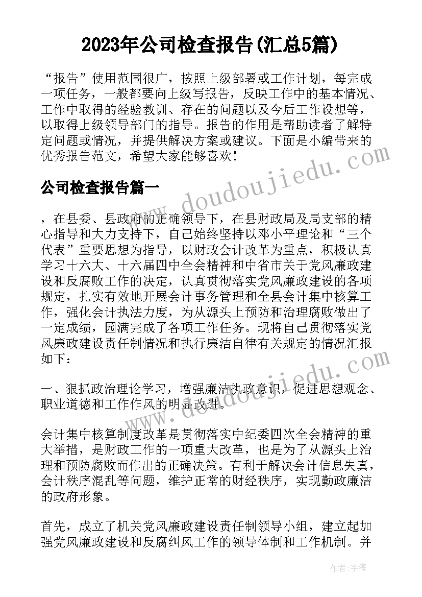 2023年公司检查报告(汇总5篇)