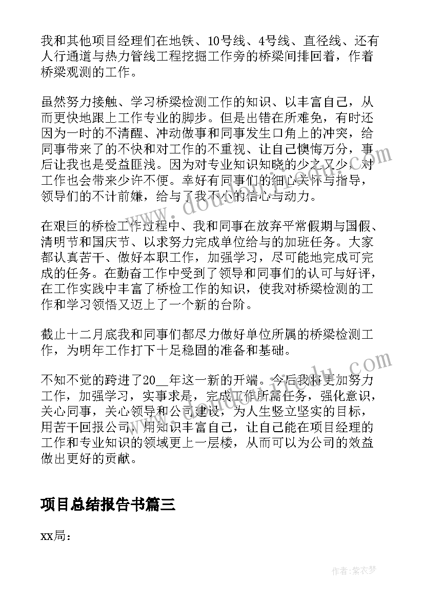 项目总结报告书 项目工作总结报告(精选5篇)