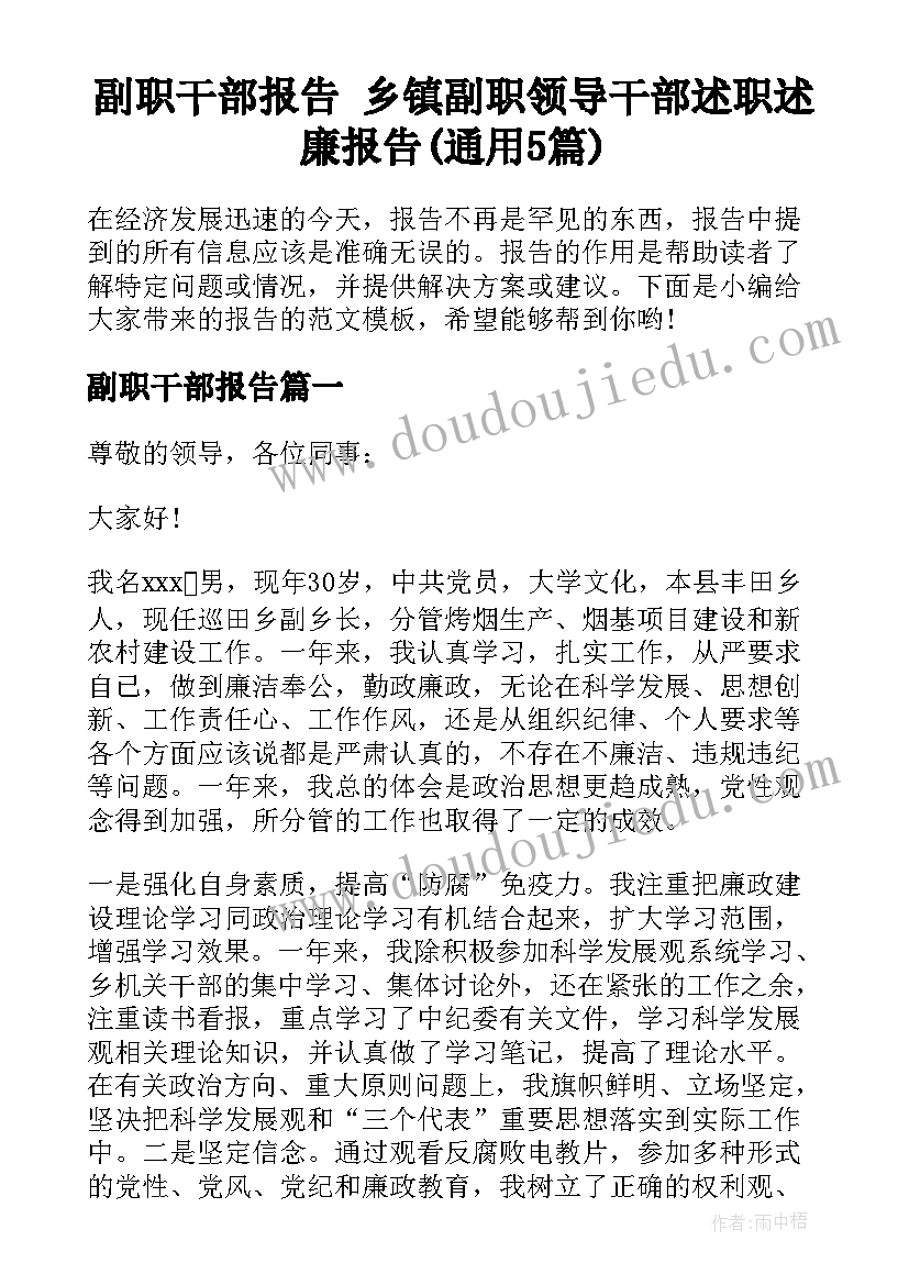 副职干部报告 乡镇副职领导干部述职述廉报告(通用5篇)