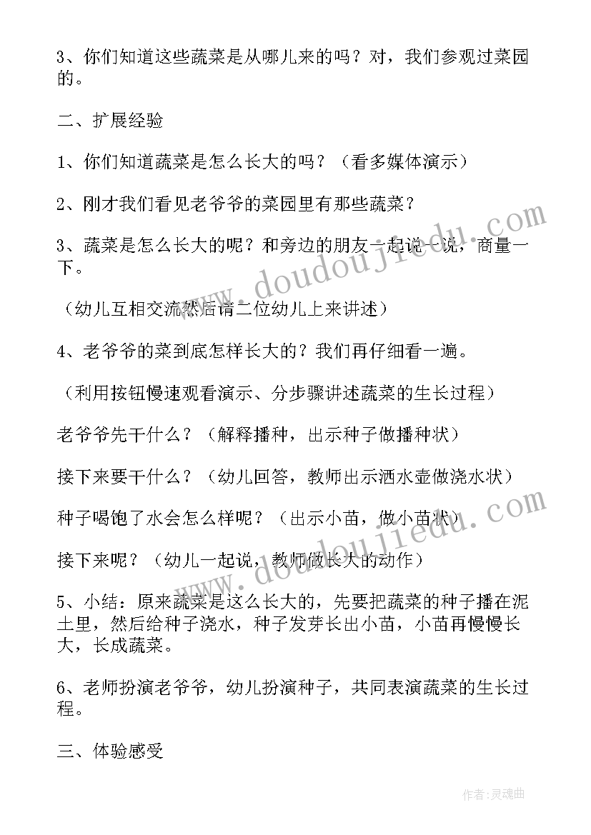 幼儿园活动蔬菜朋友 幼儿园中班蔬菜活动教案(模板5篇)