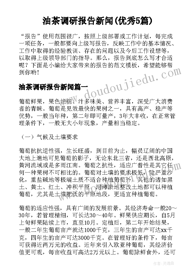 油茶调研报告新闻(优秀5篇)