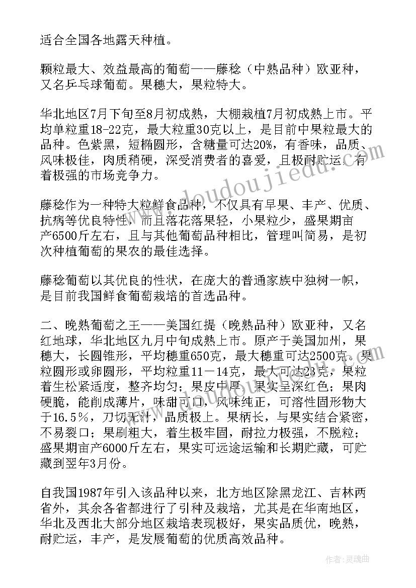 油茶调研报告新闻(优秀5篇)