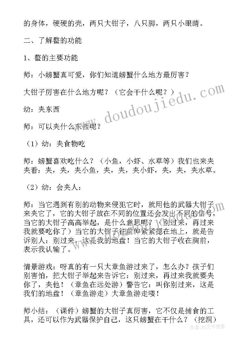 2023年中班社会看电影反思 中班科学教案及教学反思(模板10篇)