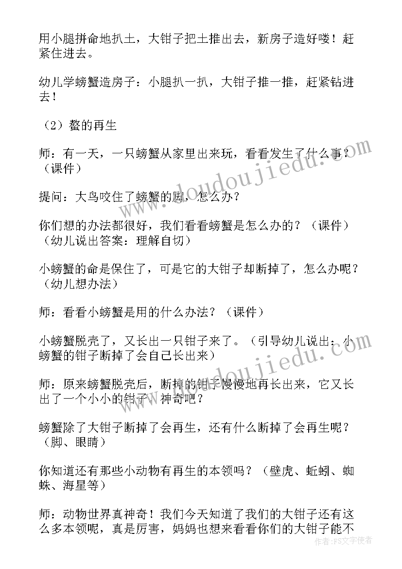 2023年中班社会看电影反思 中班科学教案及教学反思(模板10篇)