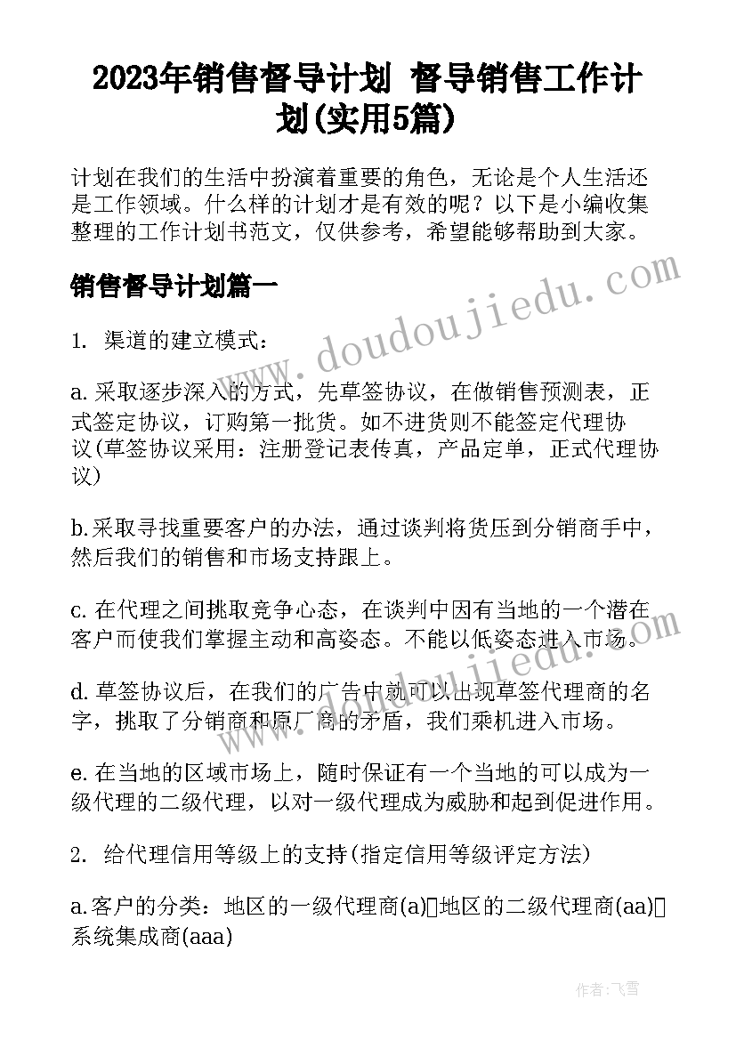 2023年销售督导计划 督导销售工作计划(实用5篇)