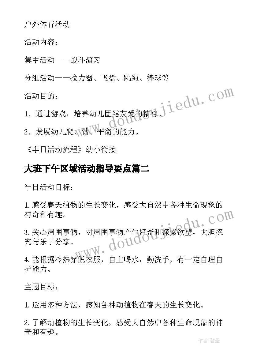 大班下午区域活动指导要点 下午半日活动计划幼儿园大班教案(大全5篇)