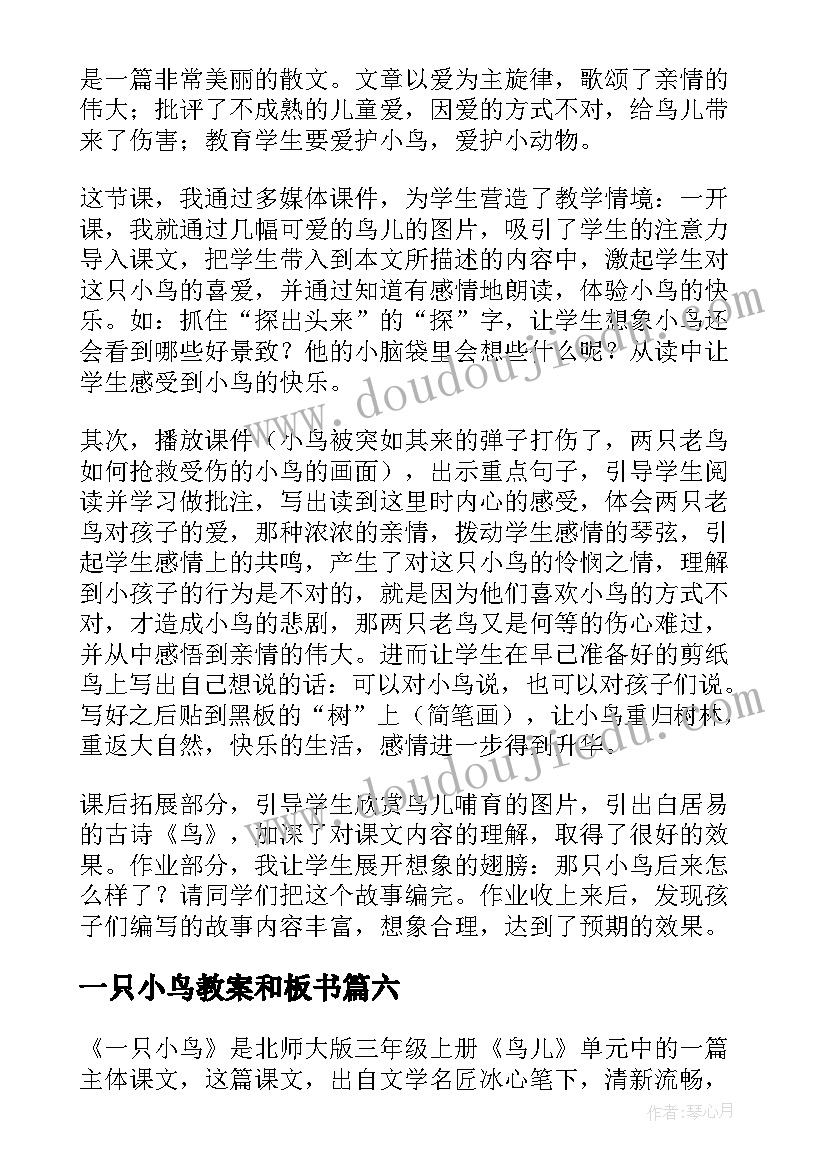 最新一只小鸟教案和板书(优秀6篇)