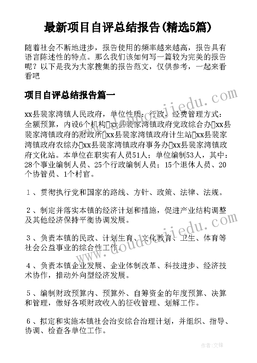 最新项目自评总结报告(精选5篇)