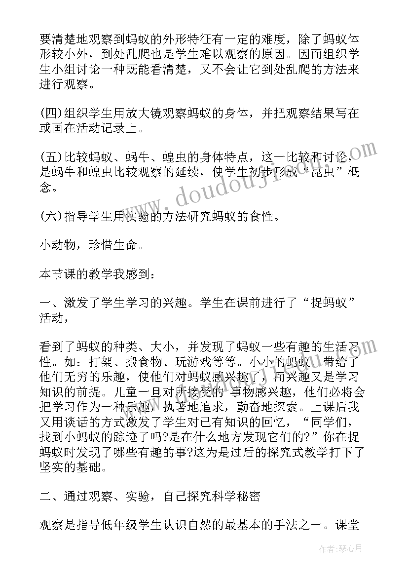 语言教案小蚂蚁(大全10篇)