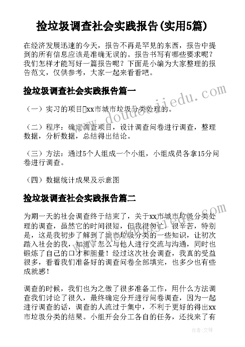 捡垃圾调查社会实践报告(实用5篇)