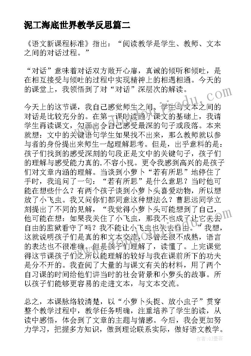 2023年泥工海底世界教学反思(优秀5篇)