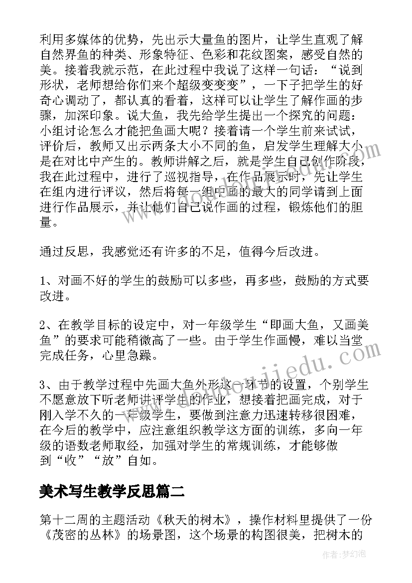 2023年美术写生教学反思 谁画的鱼最大教学反思(优秀10篇)