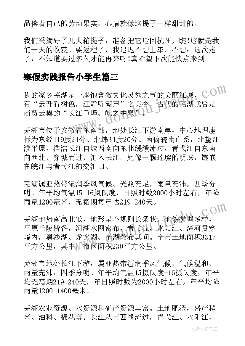 2023年寒假实践报告小学生 小学生寒假社会实践报告(优秀5篇)