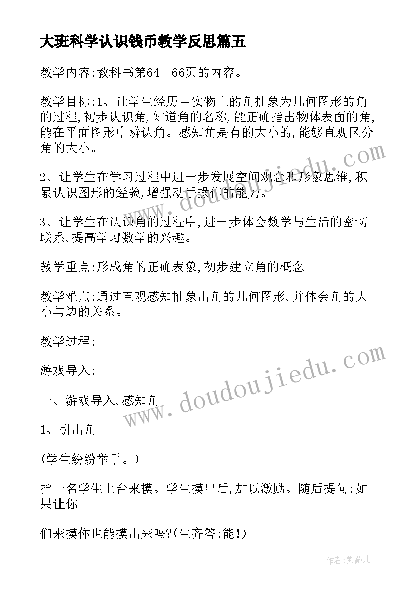 2023年大班科学认识钱币教学反思(精选6篇)