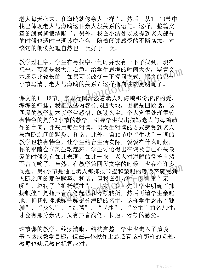 老人和鸟课文 看望老人教学反思(大全6篇)