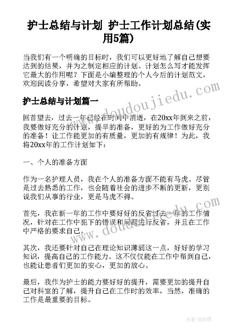 护士总结与计划 护士工作计划总结(实用5篇)