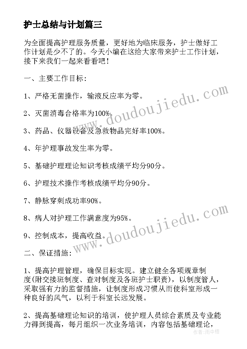 护士总结与计划 护士工作计划总结(实用5篇)