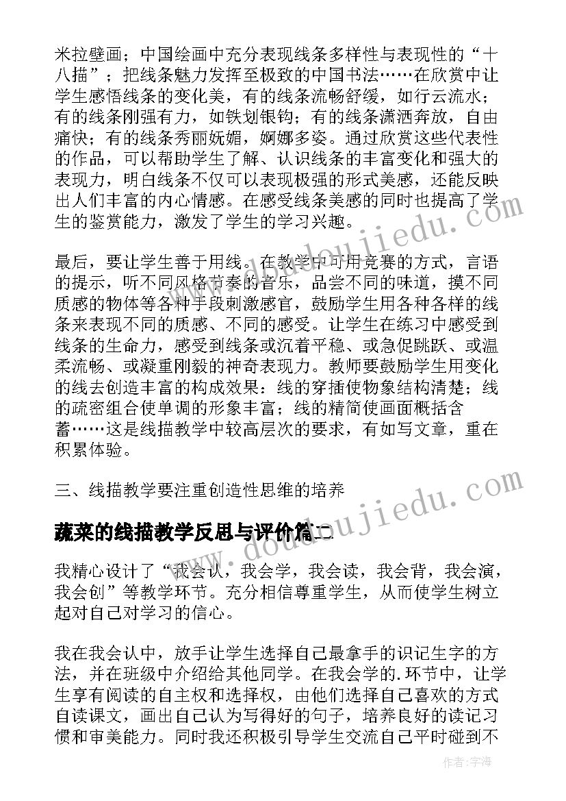 蔬菜的线描教学反思与评价(优质5篇)