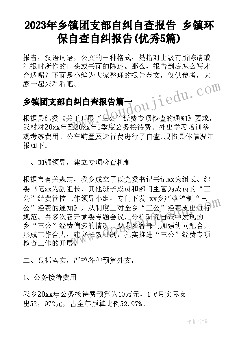 2023年乡镇团支部自纠自查报告 乡镇环保自查自纠报告(优秀5篇)