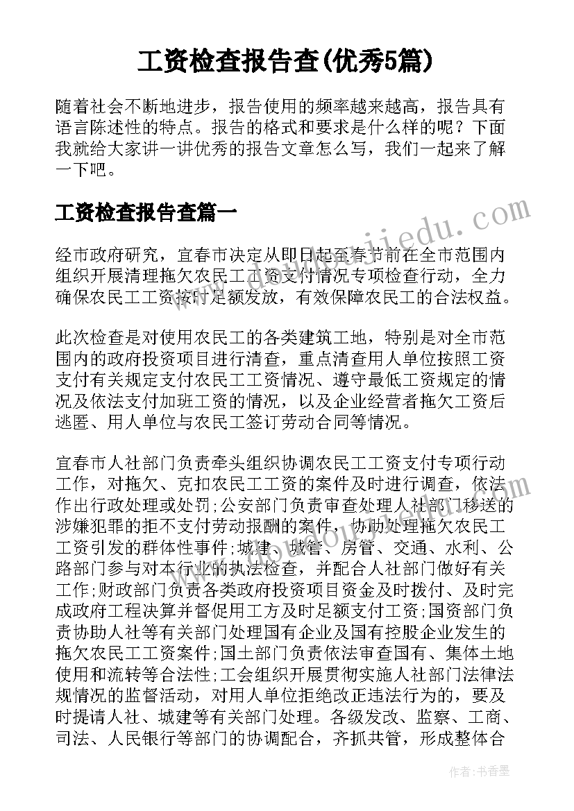 工资检查报告查(优秀5篇)