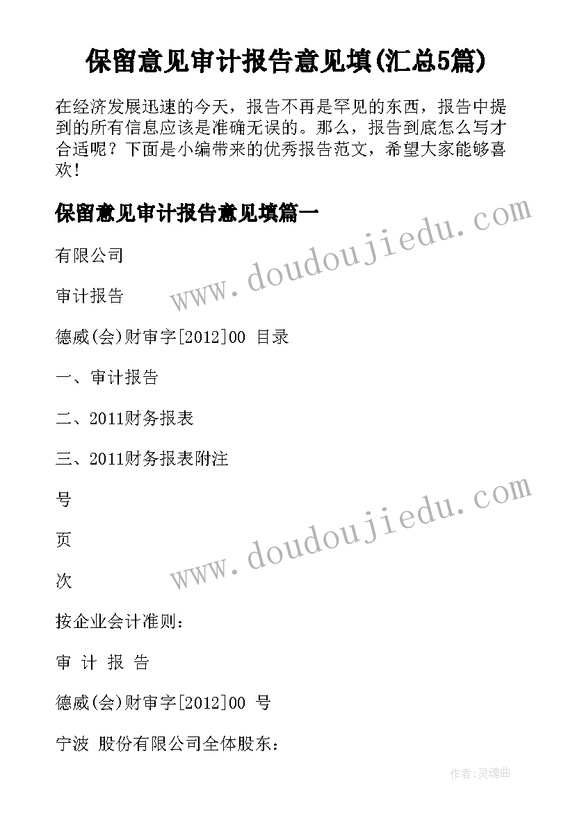 保留意见审计报告意见填(汇总5篇)