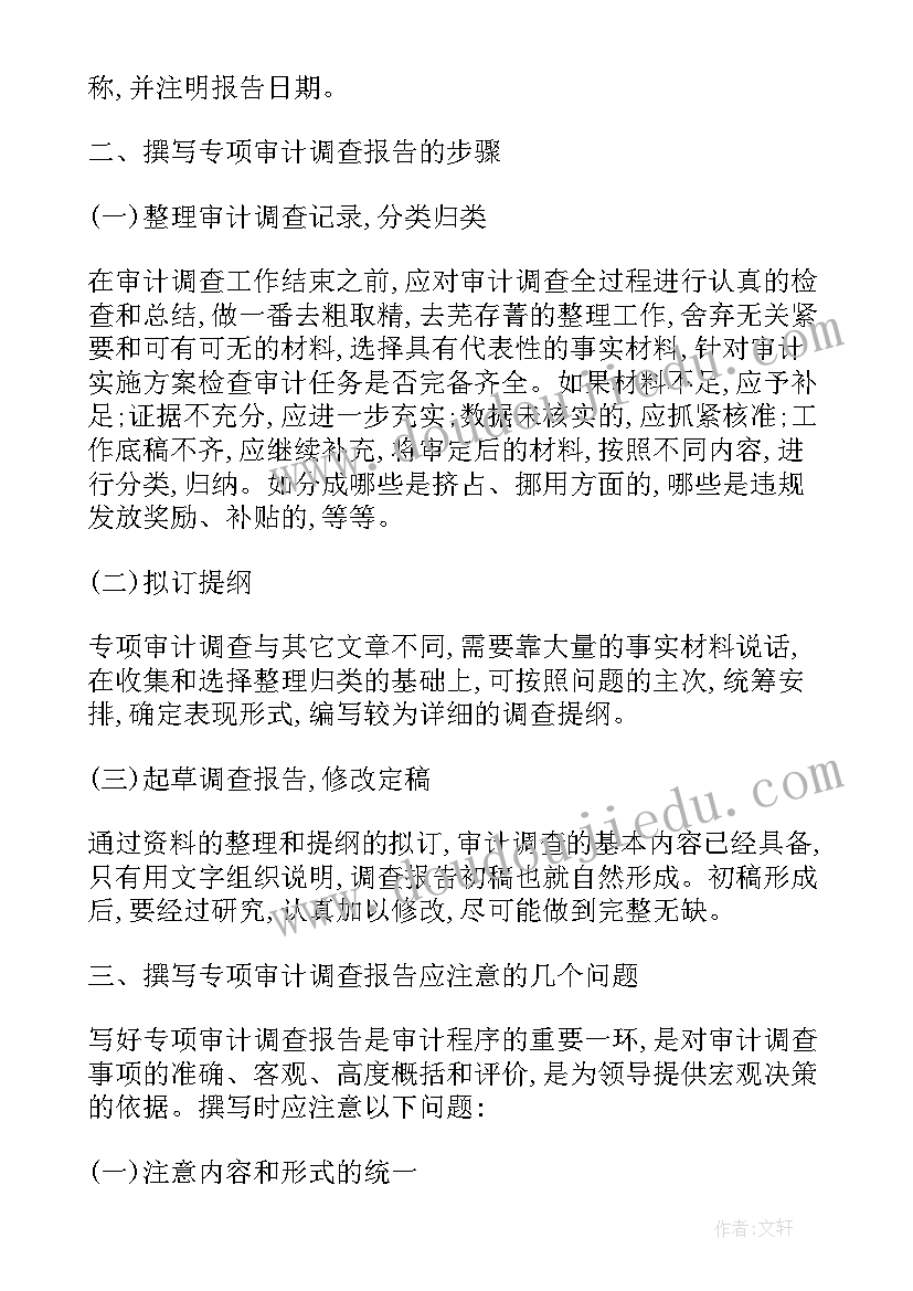 专项审计调查报告(精选5篇)