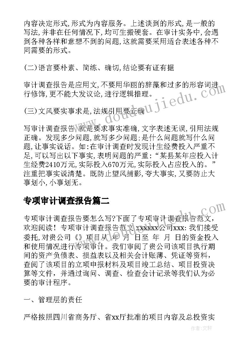 专项审计调查报告(精选5篇)