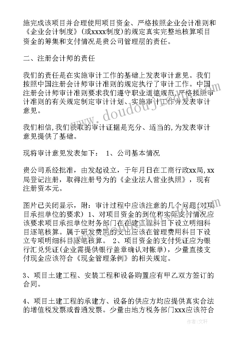 专项审计调查报告(精选5篇)