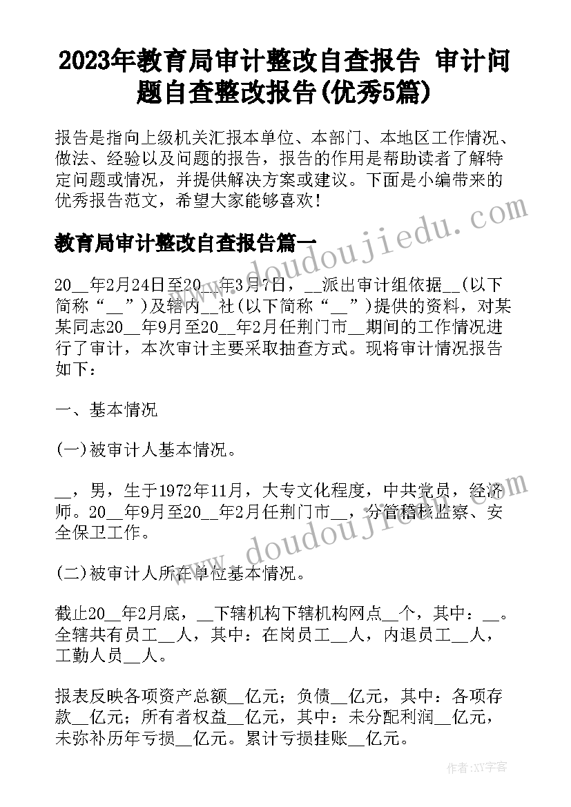 2023年教育局审计整改自查报告 审计问题自查整改报告(优秀5篇)