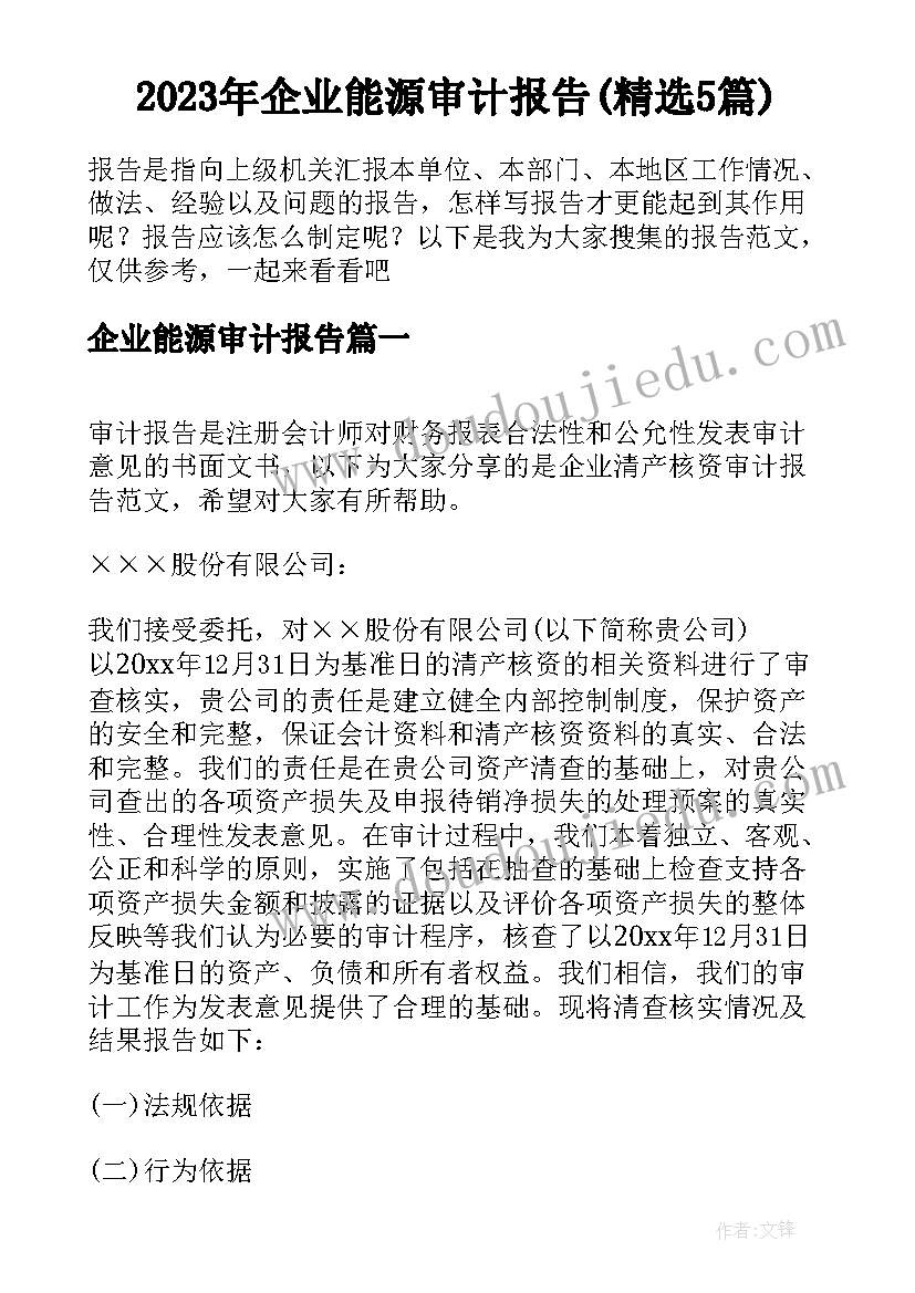 2023年企业能源审计报告(精选5篇)