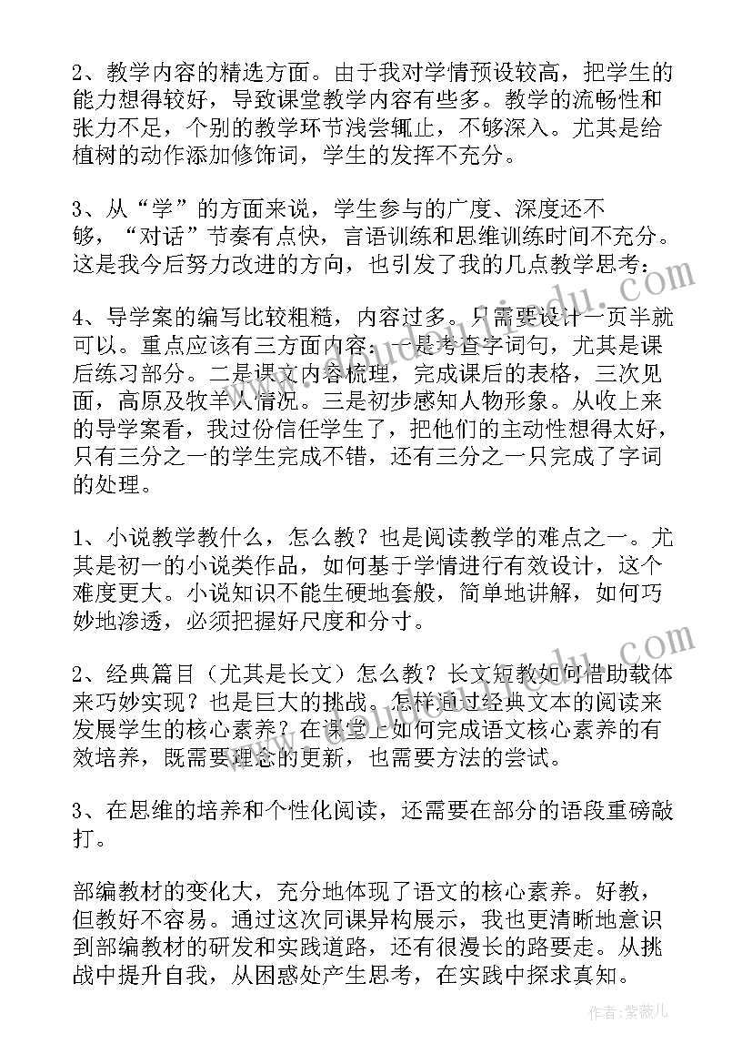 2023年植树的牧羊人教学反思教学反思(模板5篇)