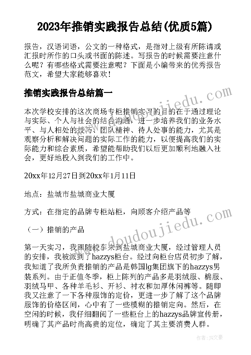 2023年推销实践报告总结(优质5篇)