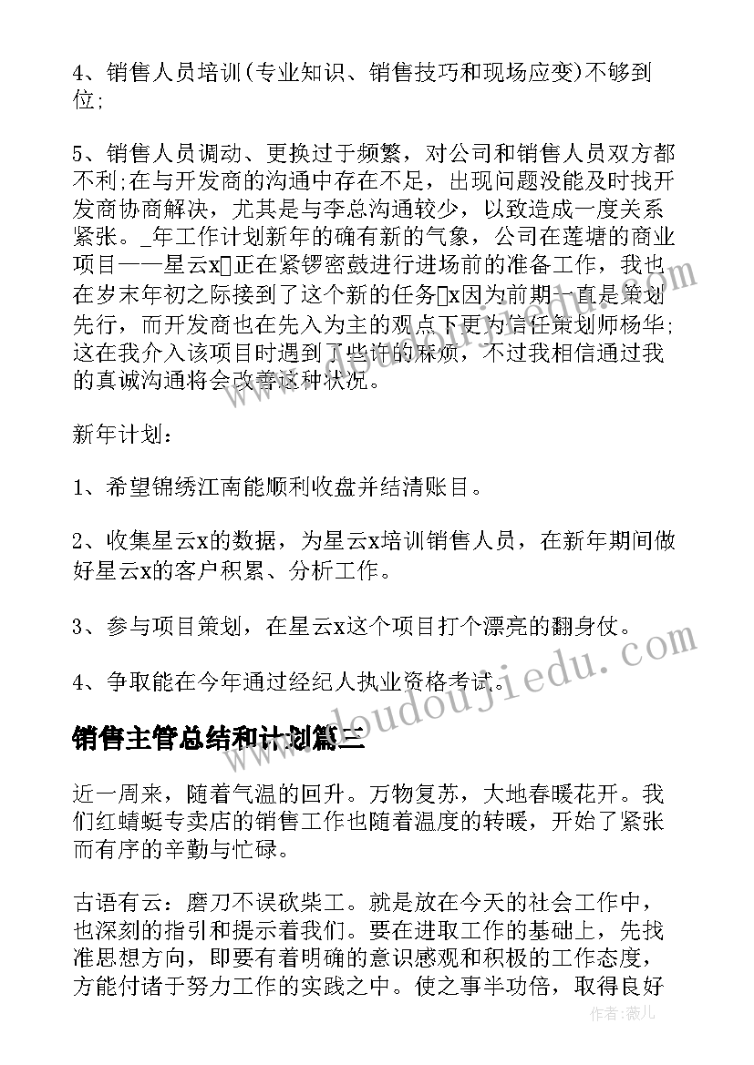 2023年销售主管总结和计划(实用5篇)