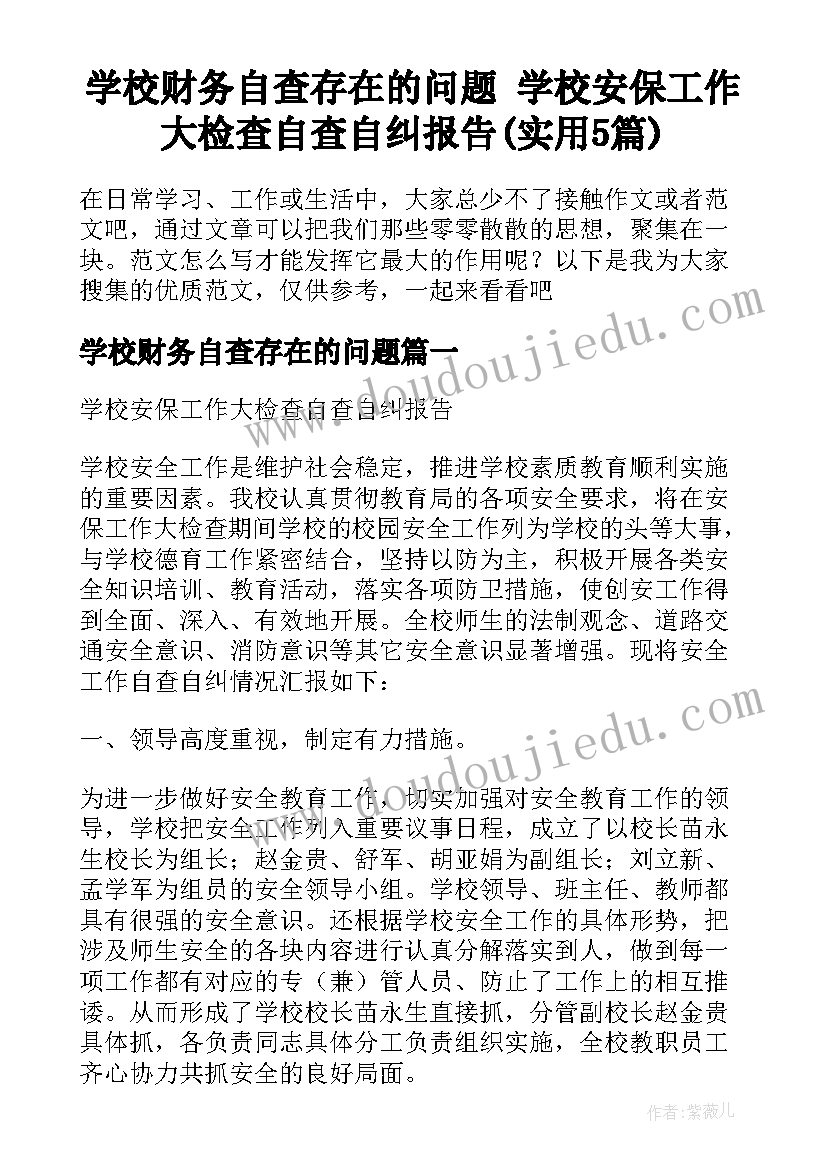 学校财务自查存在的问题 学校安保工作大检查自查自纠报告(实用5篇)