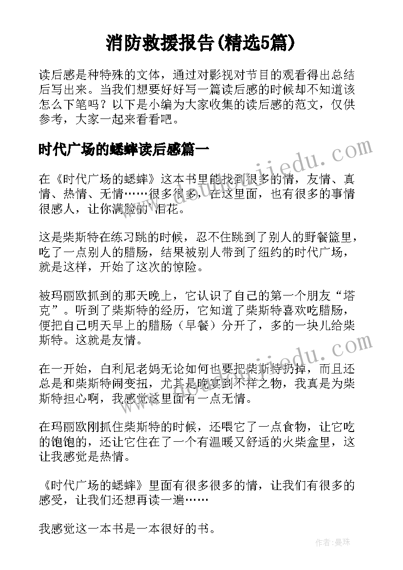 消防救援报告(精选5篇)