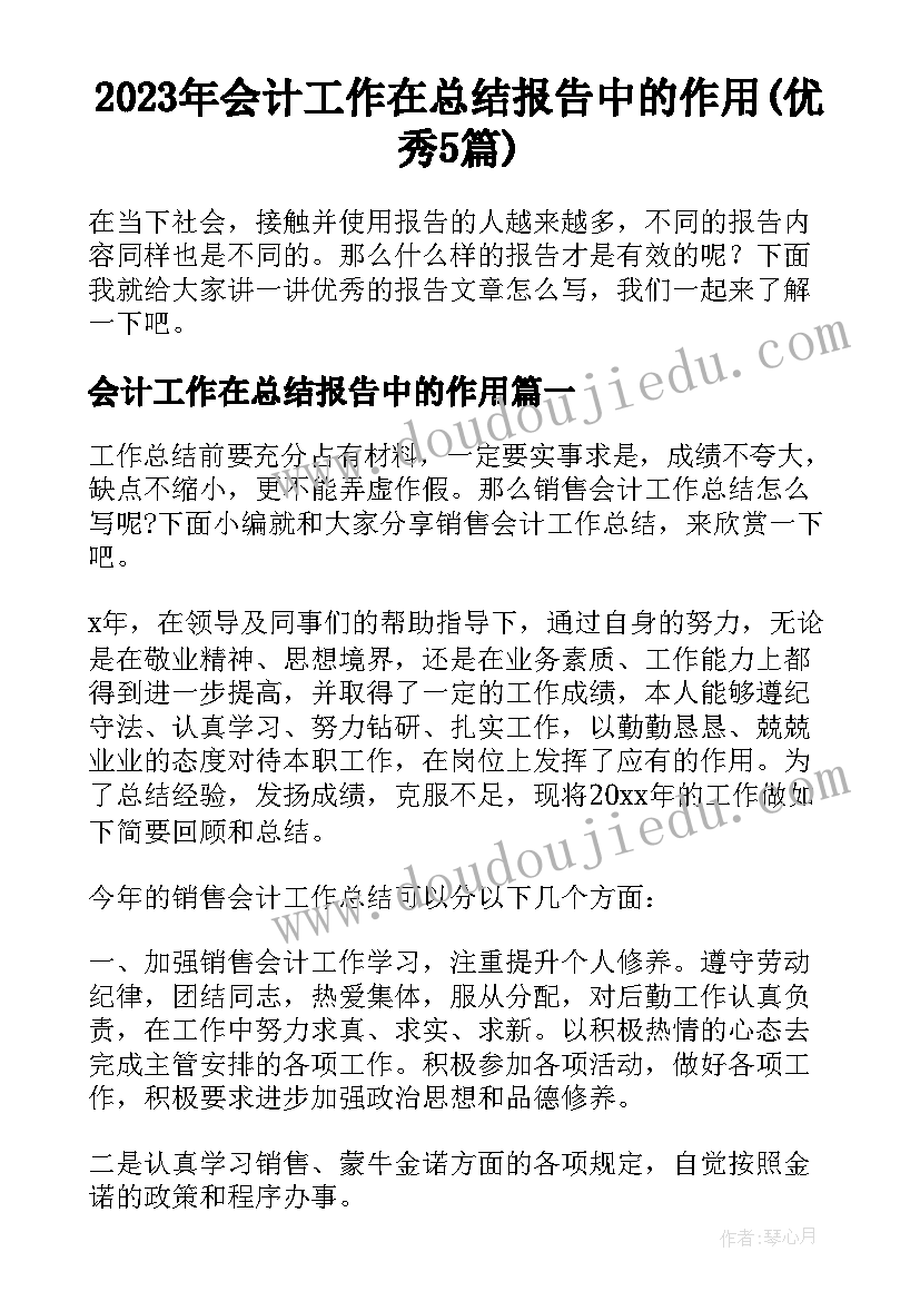 2023年会计工作在总结报告中的作用(优秀5篇)