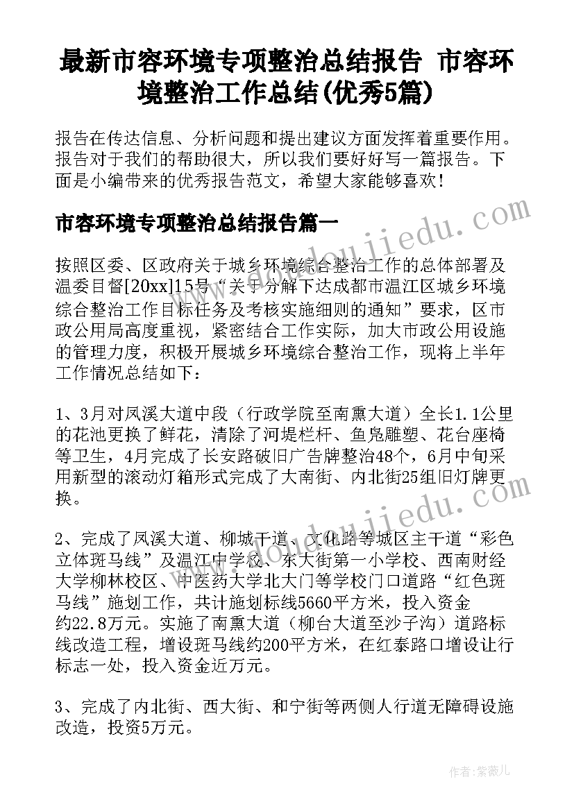 最新市容环境专项整治总结报告 市容环境整治工作总结(优秀5篇)