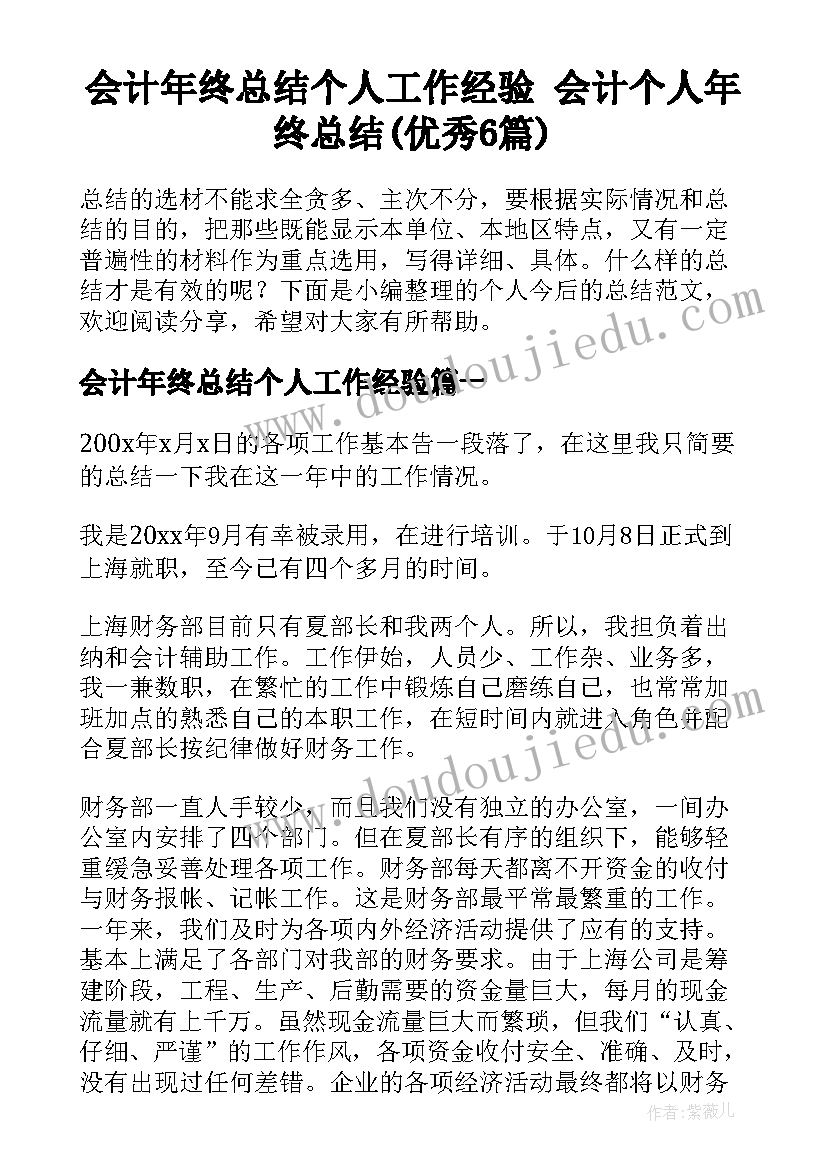 会计年终总结个人工作经验 会计个人年终总结(优秀6篇)