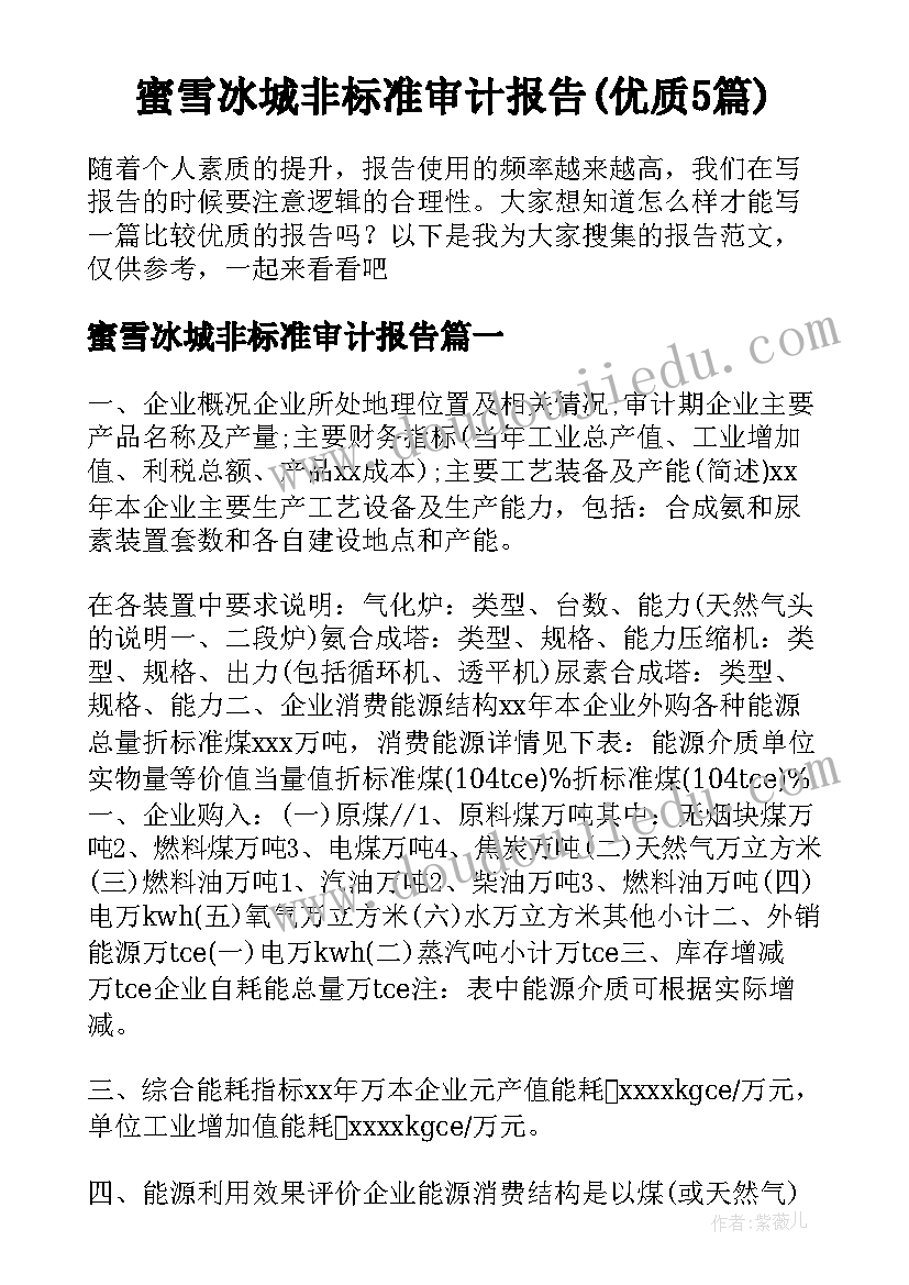 蜜雪冰城非标准审计报告(优质5篇)