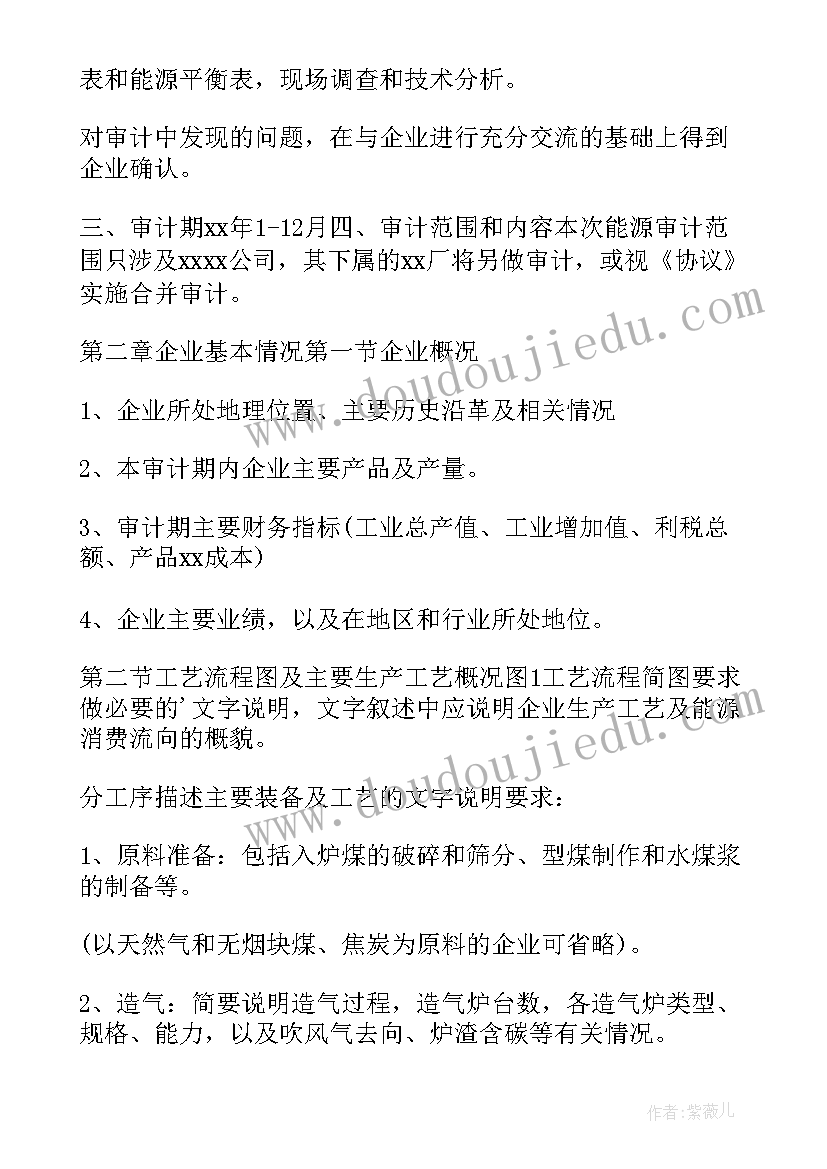 蜜雪冰城非标准审计报告(优质5篇)