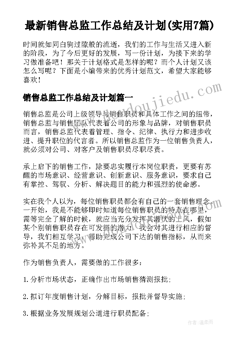 最新销售总监工作总结及计划(实用7篇)