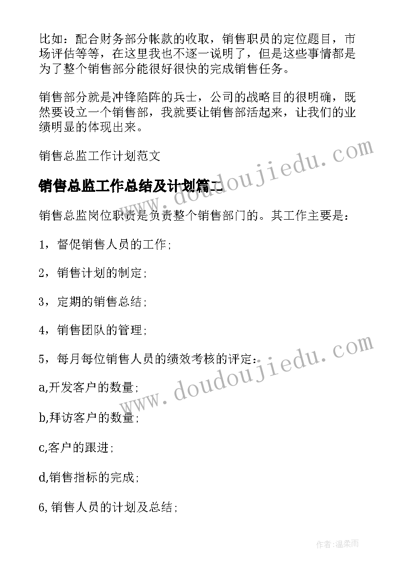 最新销售总监工作总结及计划(实用7篇)