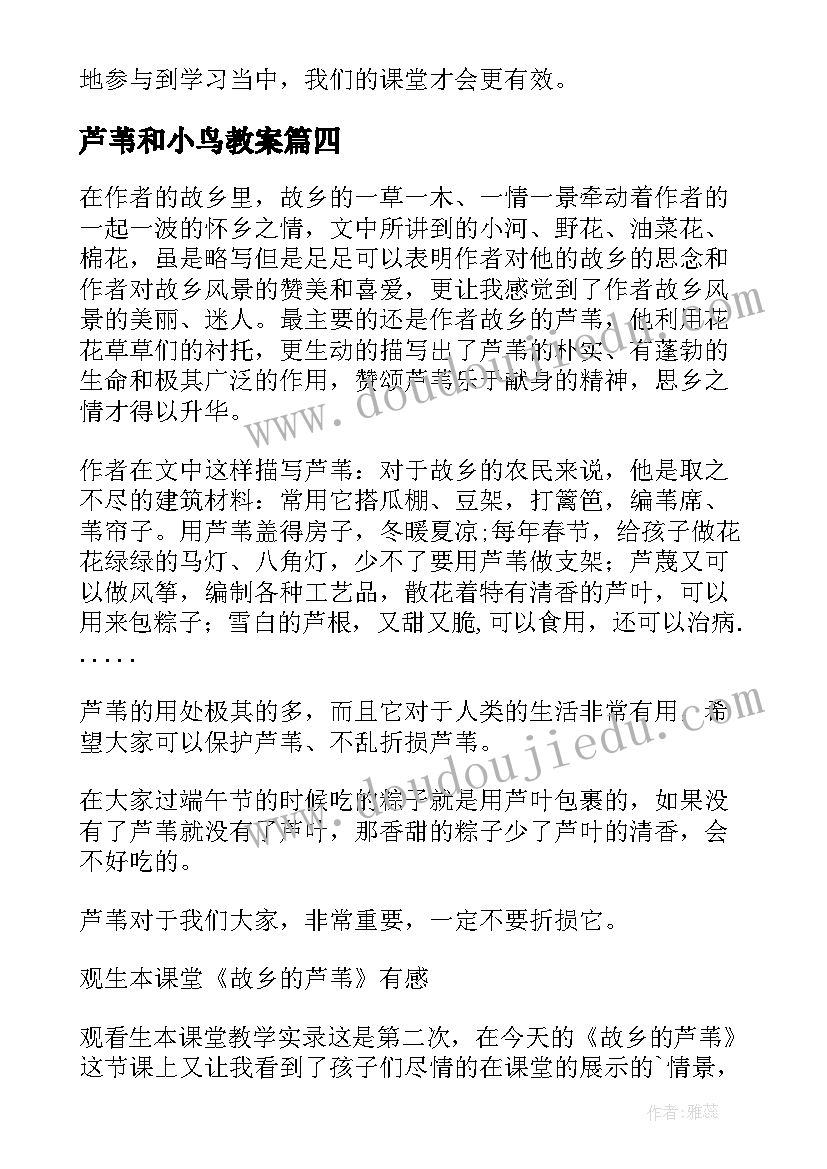 芦苇和小鸟教案 故乡的芦苇教学反思(汇总6篇)