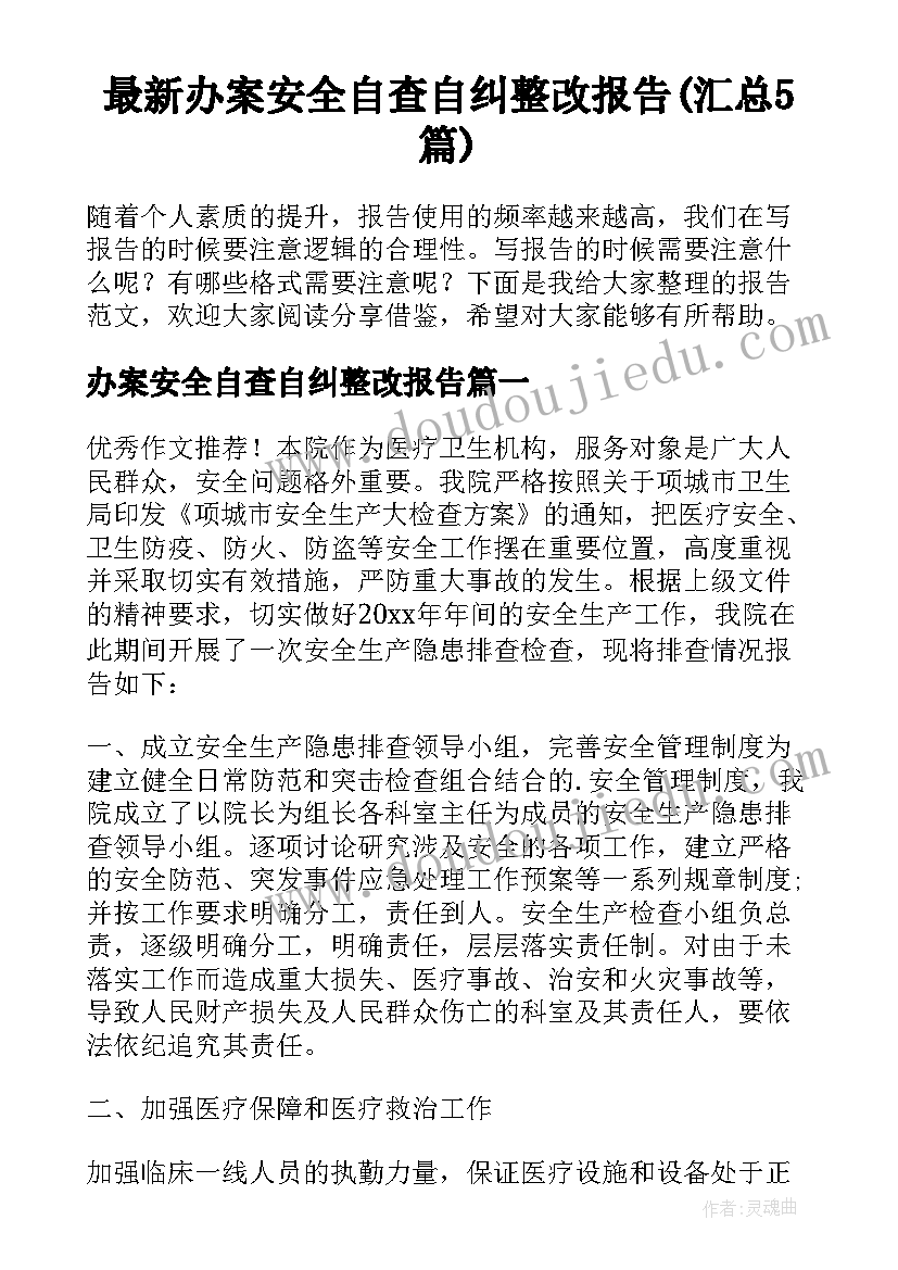 最新办案安全自查自纠整改报告(汇总5篇)