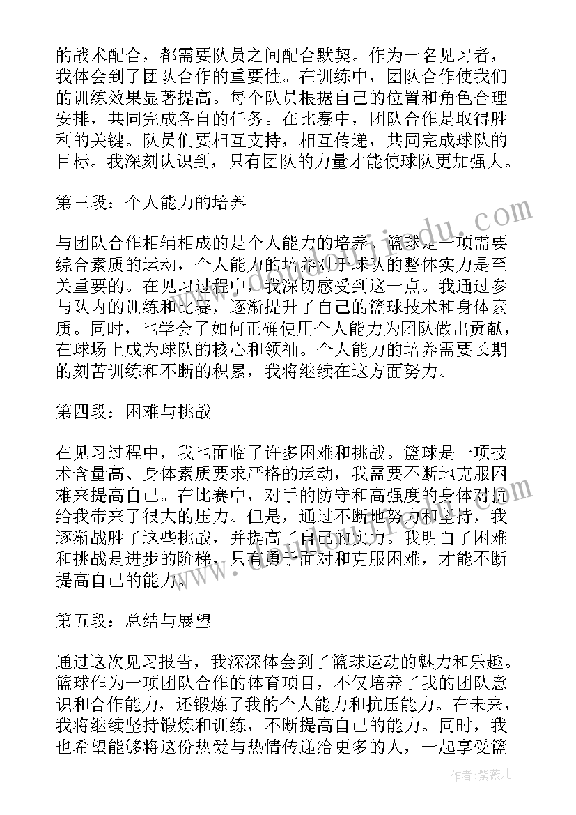 最新体育报告表(汇总8篇)