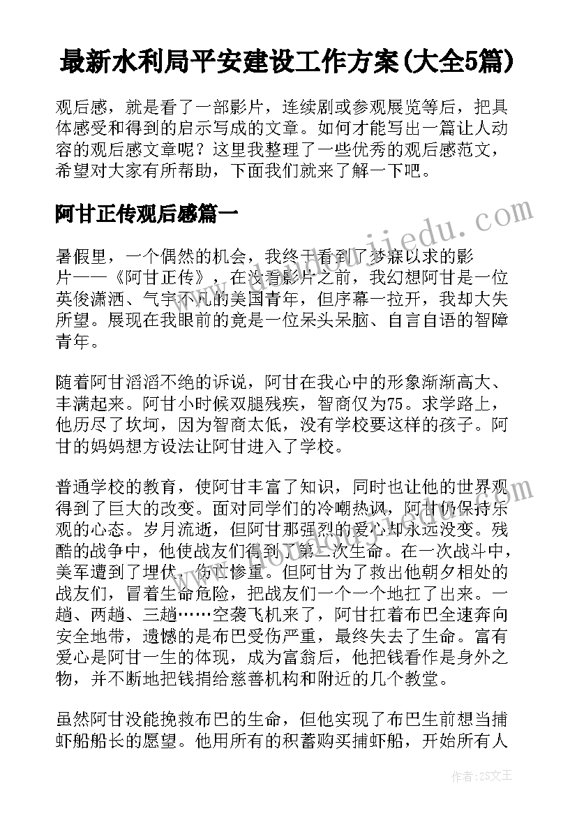 最新水利局平安建设工作方案(大全5篇)