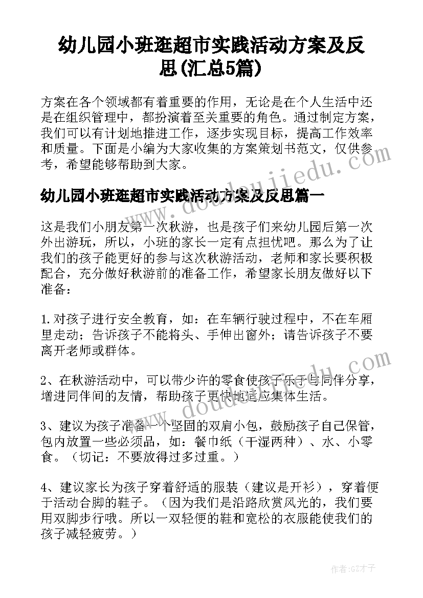 幼儿园小班逛超市实践活动方案及反思(汇总5篇)