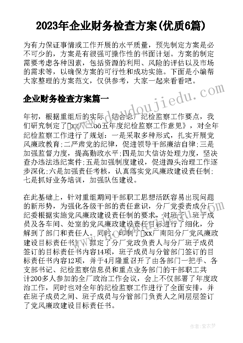 2023年企业财务检查方案(优质6篇)