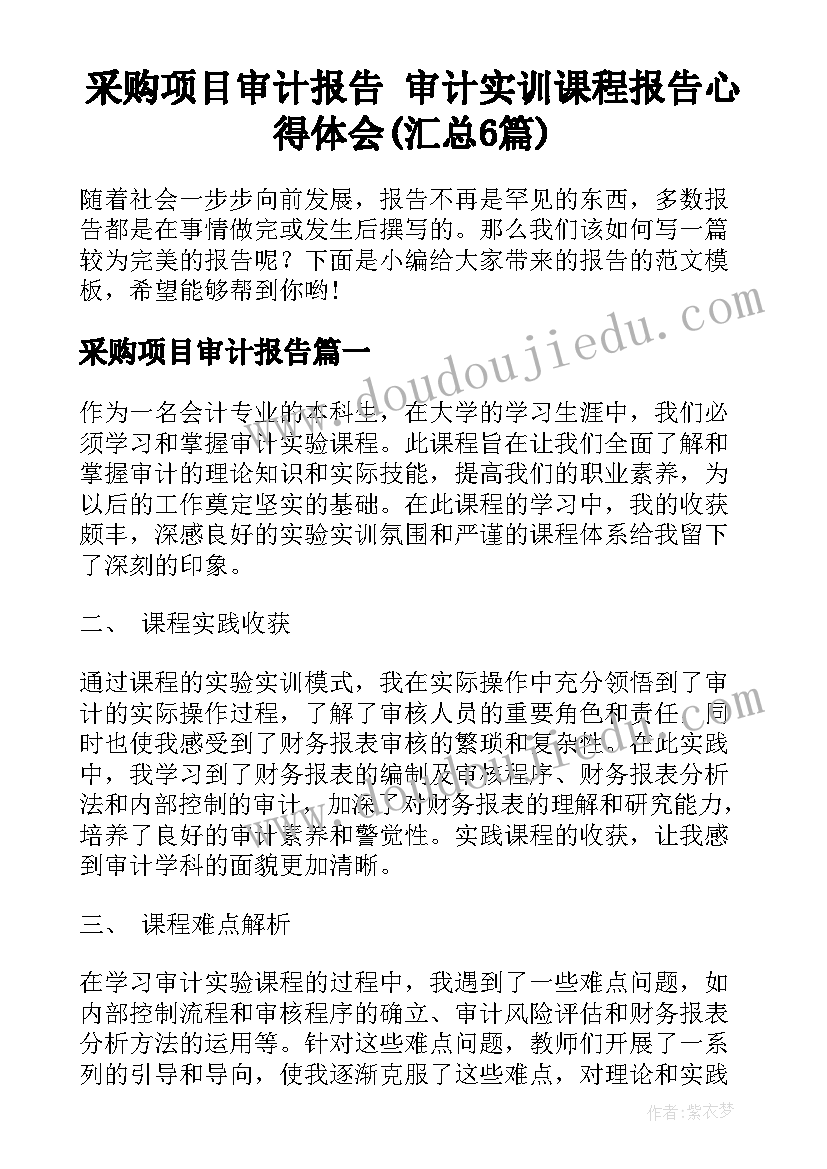 采购项目审计报告 审计实训课程报告心得体会(汇总6篇)